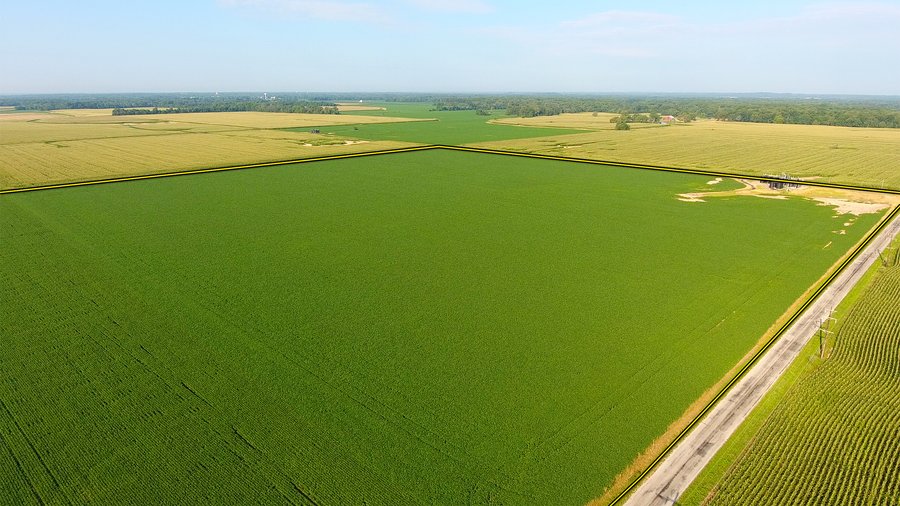 ILLINOIS LAND AUCTION - 4,810+/- ACRES OFFERED IN 85 TRACTS IN FRANKLIN, WILLIAMSON, HAMILTON & SALINE COUNTIES, ILLINOIS